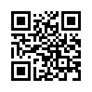 QR CODE 387
