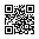 QR CODE 388