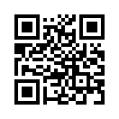 QR CODE 389