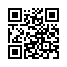 QR CODE 401