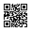 QR CODE 42