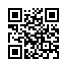 QR CODE 421
