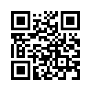 QR CODE 431