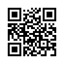QR CODE 433