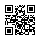 QR CODE 446