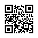 QR CODE 494