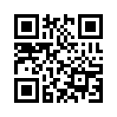QR CODE 538