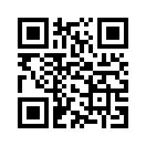 QR CODE 381