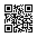 QR CODE 382