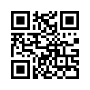 QR CODE 53