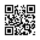 QR CODE 80