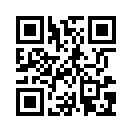 QR CODE 31