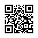 QR CODE 133