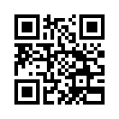 QR CODE 31
