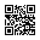 QR CODE 42