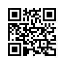 QR CODE 501
