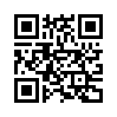 QR CODE 529
