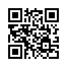 QR CODE 110