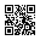 QR CODE 111