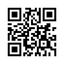QR CODE 113