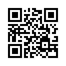 QR CODE 13