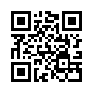QR CODE 25