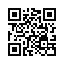QR CODE 31