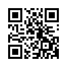 QR CODE 43