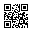 QR CODE 66