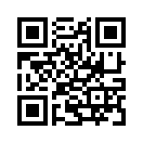 QR CODE 133