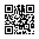 QR CODE 53