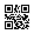 QR CODE 33