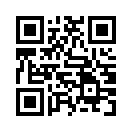 QR CODE 53