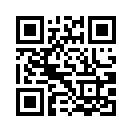 QR CODE 133