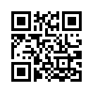 QR CODE 31