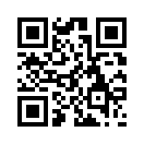 QR CODE 316