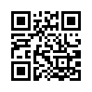 QR CODE 317