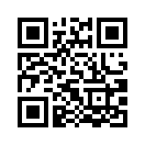 QR CODE 336