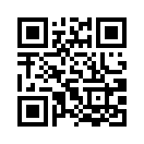 QR CODE 344