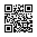 QR CODE 394