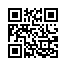 QR CODE 42