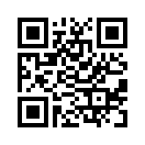 QR CODE 133