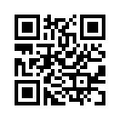 QR CODE 31