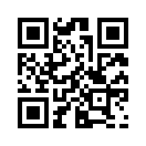 QR CODE 110