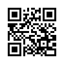 QR CODE 329