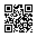 QR CODE 336
