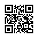 QR CODE 42