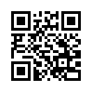 QR CODE 461