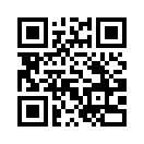 QR CODE 494