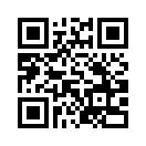 QR CODE 519